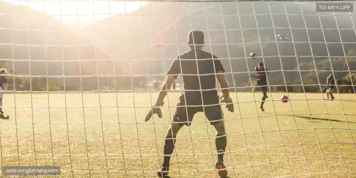 运动装备一站式,品质与颜值并存!🛒🔥